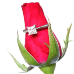 Красная роза  с кольцом