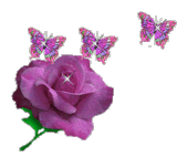 Роза с бабочками