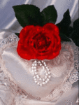 Красная роза и жемчужное ожерелье на кружевной подушечке