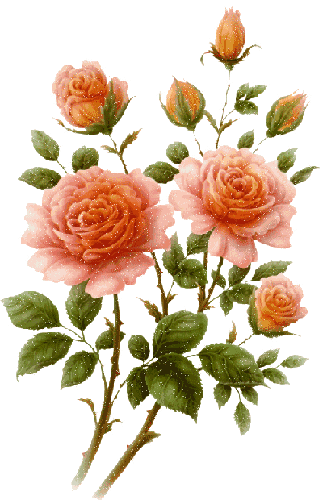 Цреты - розы
