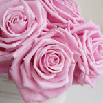 Розовые розы пышны и красивы)