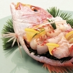 Рыба об суши
