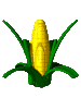 Кукурузка
