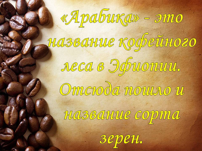 17 апреля. Международный день кофе. Зерна кофе Арабика