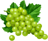 Кисточка зеленого винограда