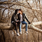  Влюбленные <b>сидят</b> на дереве 