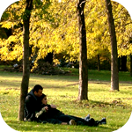 Пара влюбленных в парке под деревом