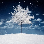  <b>Дерево</b> в снегу 