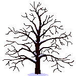  Дерево в разное время <b>года</b> 