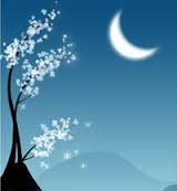 Ночь, луна, дерево