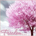 Свобода...красивое розовое дерево