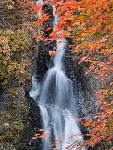 Осенний водопад (10)