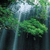  <b>Водопад</b> за деревьями 