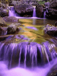 Сиреневый водопад 2