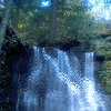 Лесной водопад (1)