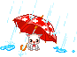  <b>Щенок</b> оказался под дождем и прикрылся красным зонтиком 