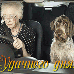  Бабушка за <b>рулем</b> с испуганной собакой (удачного дня!) 