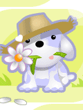  Собачка в шляпе и с <b>цветочком</b> 