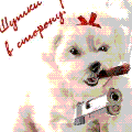  <b>Собачка</b> с сигарой и пистолетом, шутки в сторону 