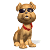 Пёс в очках