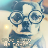 Собачка в круглых очках с толстыми стёклами (тебе этого н...