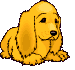 Желтый щенок