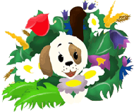 Маленькая собачка среди полевых цветов