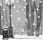 Аллея с фонарями зимой в парке