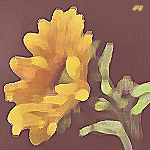 Рисунок желтого подсолнуха