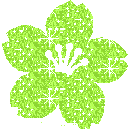 Цветок зеленый