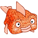 Рыбка оранжевая