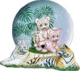 Тигры с тигрятами в шаре