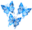 Бабочки синие