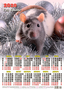  Календарь 2020 г. Год Крысы. Мышка среди <b>новогодних</b> игрушек 