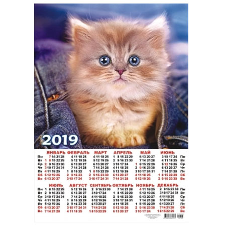 Календарь 2019 с котенком