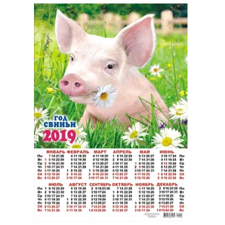 Календарь 2019 Свинка с ромашкой