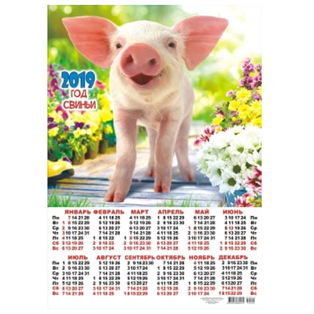 Календарь 2019 Свинка среди цветов