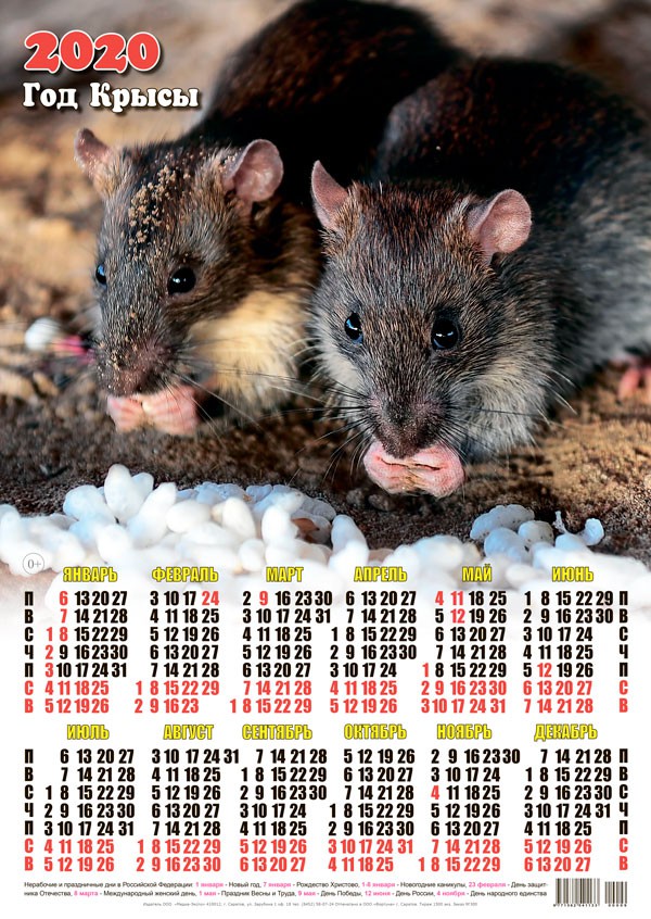 Календарь 2020 г. Год Крысы. Перекус