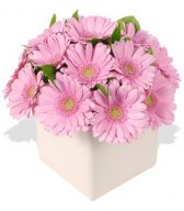 Букеты цветов для любимых (53)
