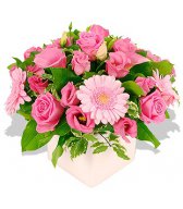  Розовый <b>букет</b> с герберами и розами 