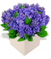 Букеты цветов для любимых (52)