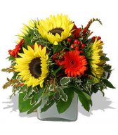  Букеты цветов для любимых (<b>39</b>) 
