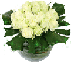 Букет белых роз с листвой