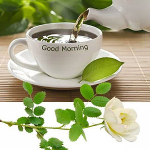  Доброго <b>утра</b>! Чай и белая роза 