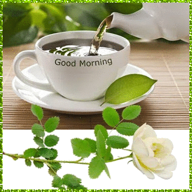 Доброго утра!  Чай и белая роза