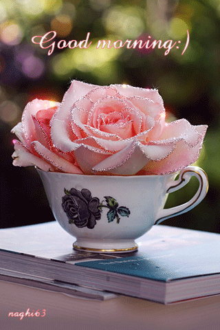 Доброе  утро! Розовые розы в чашечке