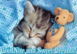  Открытка. Спокойной ночи! Сладких снов! Котенок с <b>медвеж</b>... 