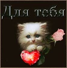 Открытки. Для тебя! Белый котенок с сердечком и розой!