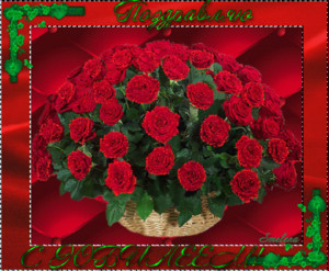  Поздравляю с юбилеем! <b>Большой</b> букет красных роз 