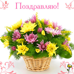  Открытки. Поздравляю! Желтые и розовые цветы с <b>зеленью</b> в ... 